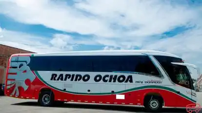 Rápido Ochoa Bus-Side Image