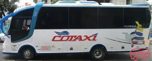 COTAXI Bus-Side Image
