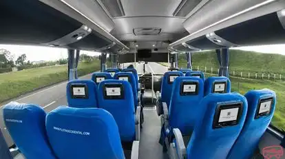 Flota Occidental Bus-Seats layout Image