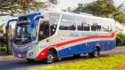 Flota Occidental Bus-Side Image