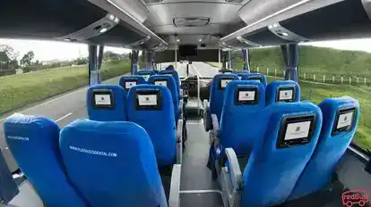 Flota Occidental Bus-Seats layout Image