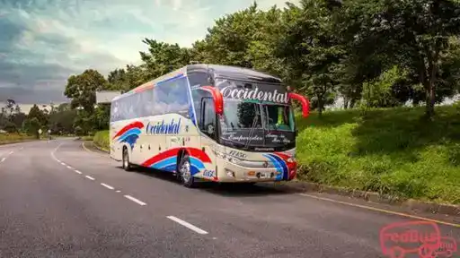 Flota Occidental Bus-Front Image