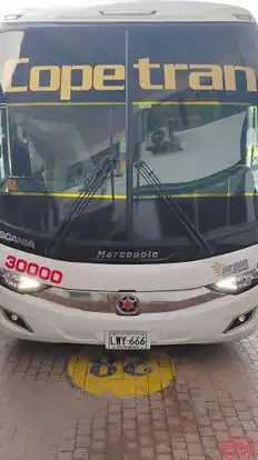 Copetran Bus-Front Image