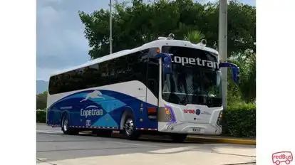 Copetran Bus-Side Image