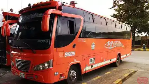 Flota La Macarena Bus-Front Image