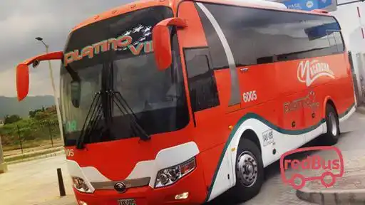 Flota La Macarena Bus-Front Image