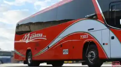 Flota La Macarena Bus-Side Image