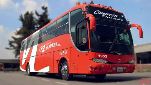 Flota La Macarena Bus-Front Image