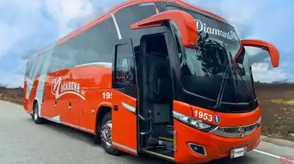 Flota La Macarena Bus-Front Image