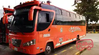 Flota La Macarena Bus-Front Image