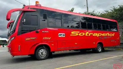 Sotrapeñol Bus-Side Image