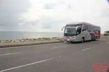 Concorde Bus-Front Image