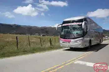 Concorde Bus-Front Image