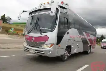 Concorde Bus-Front Image