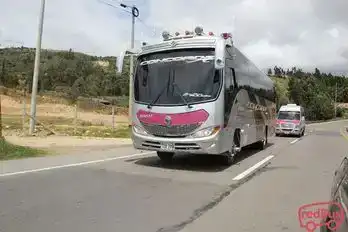 Concorde Bus-Front Image