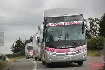 Concorde Bus-Side Image