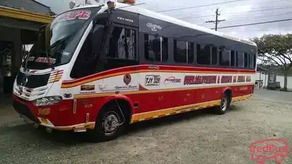 Sotrasanvicente Bus-Seats Image