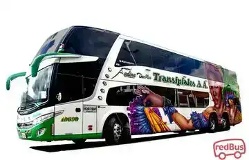 Transipiales Bus-Front Image