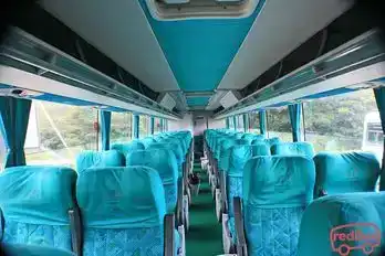 Transipiales Bus-Seats layout Image