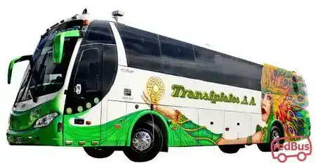 Transipiales Bus-Side Image