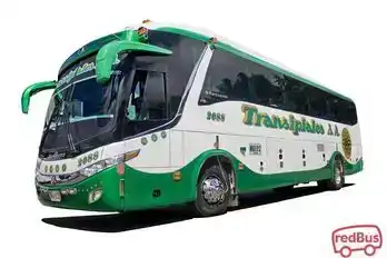 Transipiales Bus-Front Image