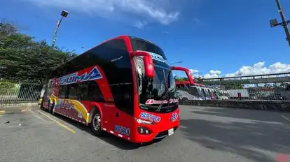 Rapido Tolima Bus-Side Image