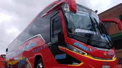 Rapido Tolima Bus-Side Image
