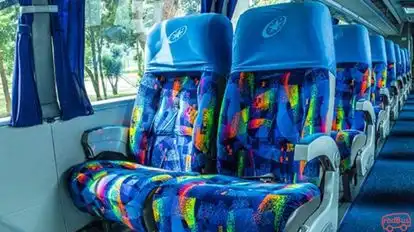 Flota Magdalena Bus-Seats Image