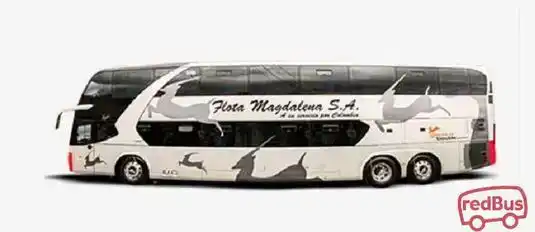 Flota Magdalena Bus-Seats Image