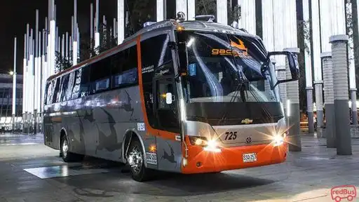 Flota Magdalena Bus-Front Image