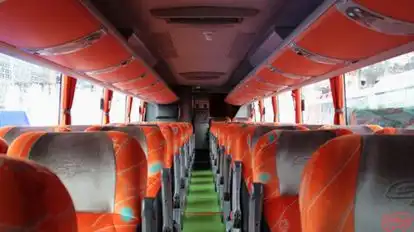 Transportes Luz Bus-Seats Image