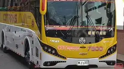 Cotrans Bus-Front Image