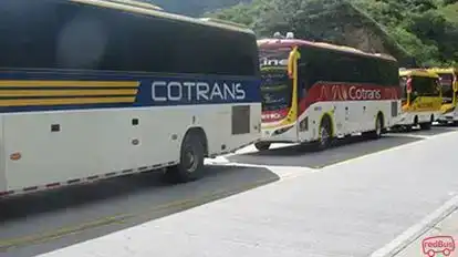Cotrans Bus-Side Image