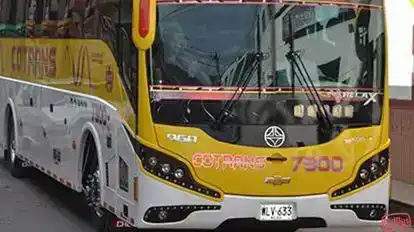 Cotrans Bus-Front Image