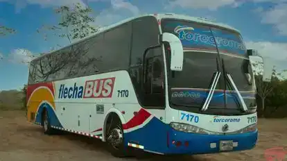 Torcoroma Bus-Side Image