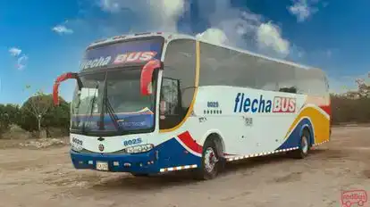 Torcoroma Bus-Side Image