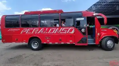Peralonso Bus-Side Image