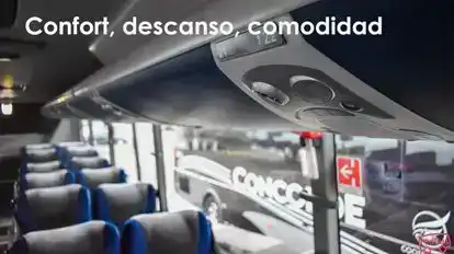 Concorde Bus-Amenities Image
