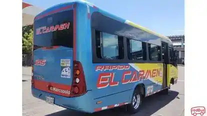 Rapido El Carmen Bus-Side Image