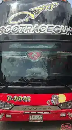 Cootracegua Bus-Front Image
