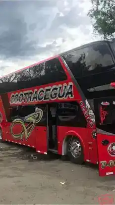 Cootracegua Bus-Side Image