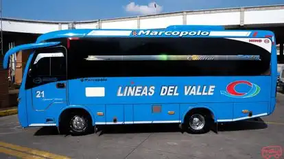 Lineas del Valle Bus-Side Image