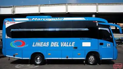 Lineas del Valle Bus-Side Image