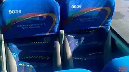 Flota Sugamuxi Bus-Seats Image