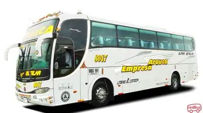 Arauca Bus-Front Image