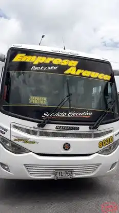 Arauca Bus-Front Image