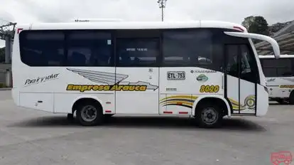 Arauca Bus-Side Image