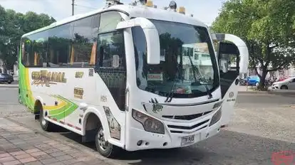 Cotranal Bus-Side Image