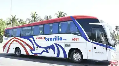 Expreso Brasilia Bus-Side Image