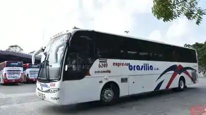 Expreso Brasilia Bus-Side Image